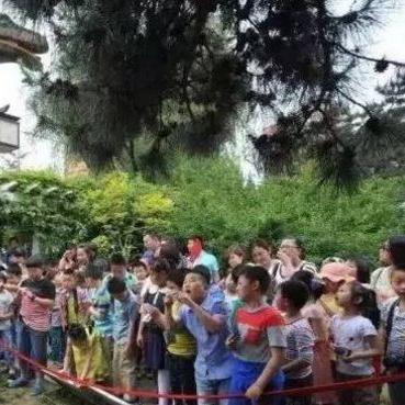 五一济南限号吗？
