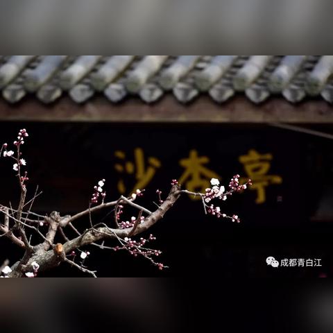 成都市清北江修地铁不的长尾关键词有哪些