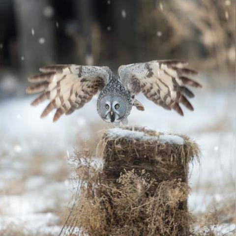 河南商场跑路的相关长尾关键词有哪些
