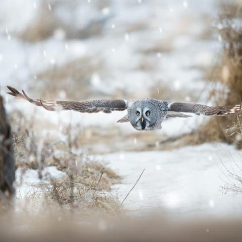 长大未删减电影免费观看的长尾关键词有什么