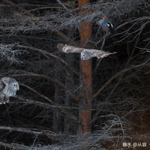 济南赢控相关长尾关键词有哪些