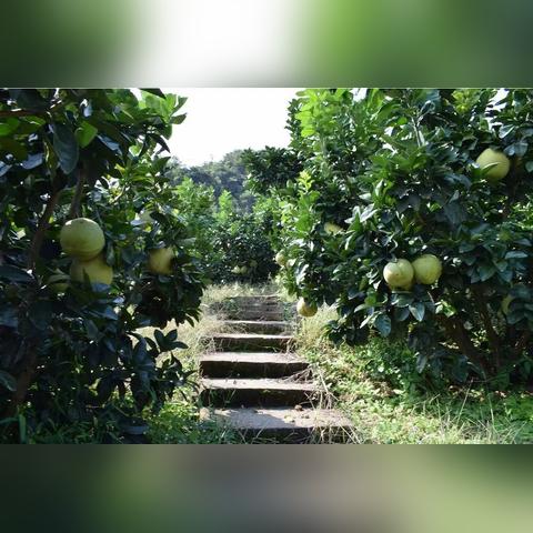 温州市渔塘村是哪个区域