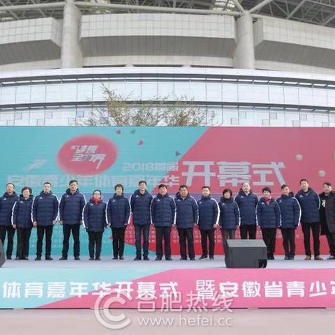 合肥市奥体中心在哪个区