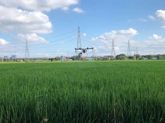 年作业近30万亩，刘杨的绿色农业创业之路