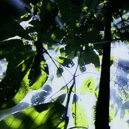 哈尔滨市水上游玩有哪些