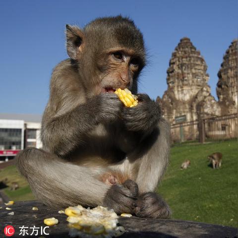 河南众电的相关长尾关键词有哪些