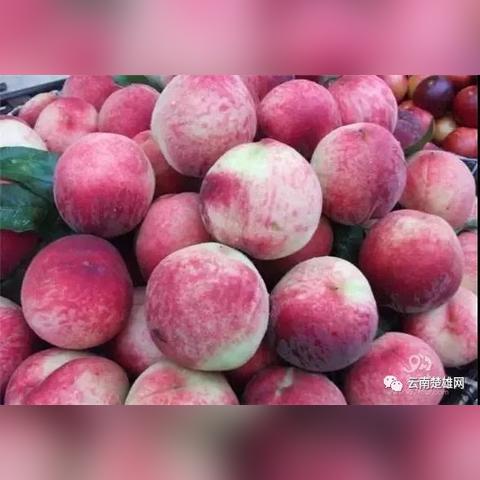 甘肃天水洋芋盒子的做法？