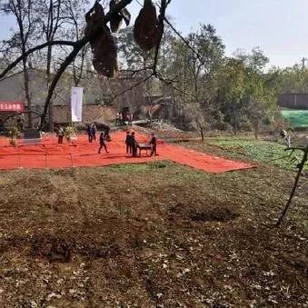 西安市公墓什么价格表