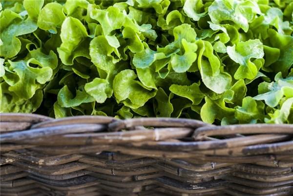 夏季宝宝便秘消化不良