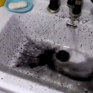 哈尔滨玉米秸秆颗粒机相关长尾关键词有哪些