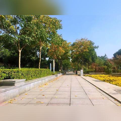 合肥市公园道属于哪个区