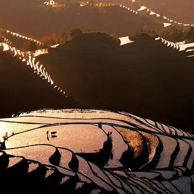 桂林哪里能改迎宾灯灯罩相关长尾关键词有哪些