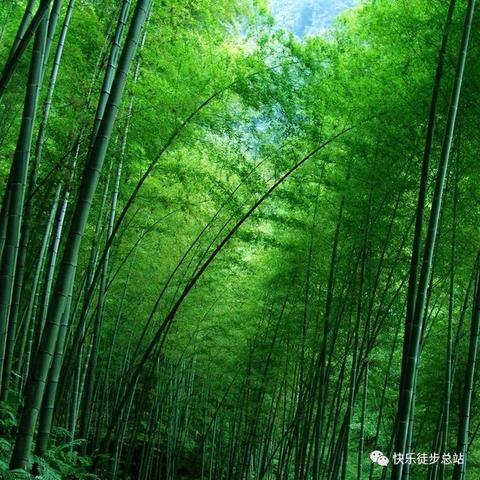 无锡市宜兴漂流在哪里