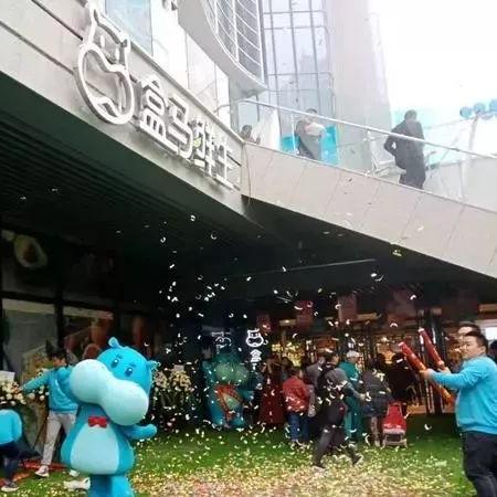 武汉市哪个盒马最好