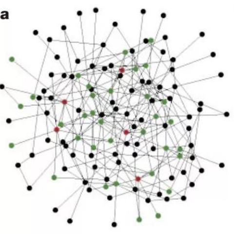 合肥小学科学版本相关长尾关键词有哪些