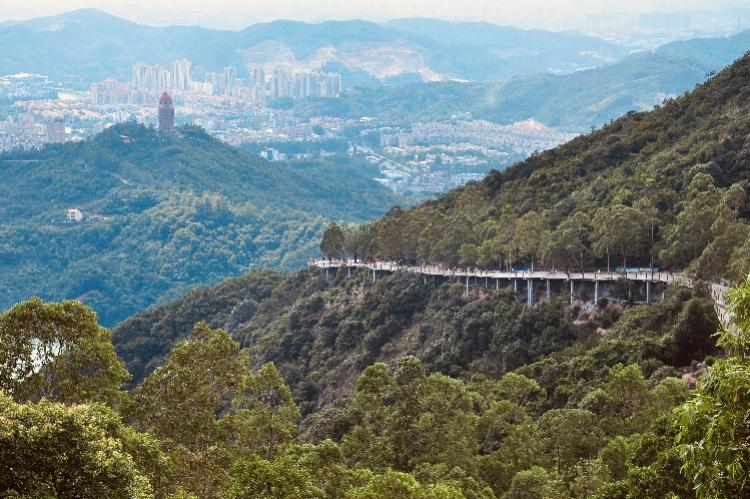 东莞免费旅游景点排行大赏：不容错过的绝美之地