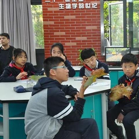 沈阳市虹桥中学资料？