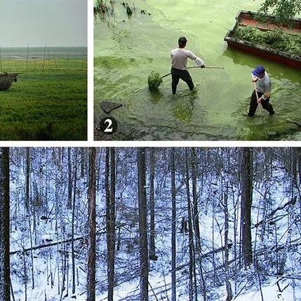 江苏无锡市买房的长尾关键词有什么