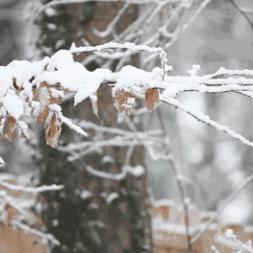 2025.12.14南通最新天气预报查询