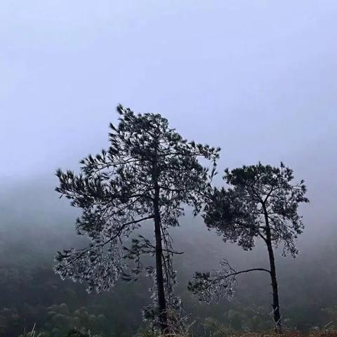 温州市入冬时间最新的长尾关键词有什么