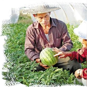 温岭一个月天气的长尾关键词有哪些