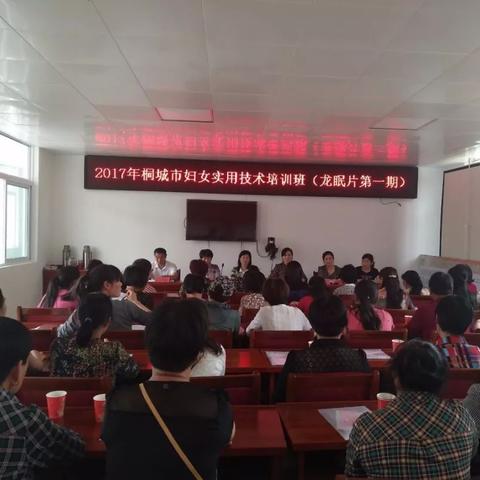 盘点多少桐城人在上海落户相关关键词有哪些