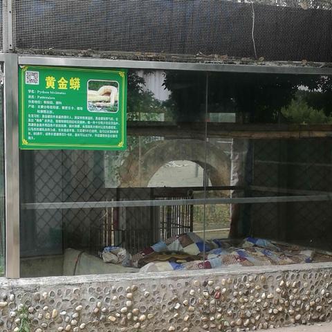 2025.12.12东莞今日气温变化情况