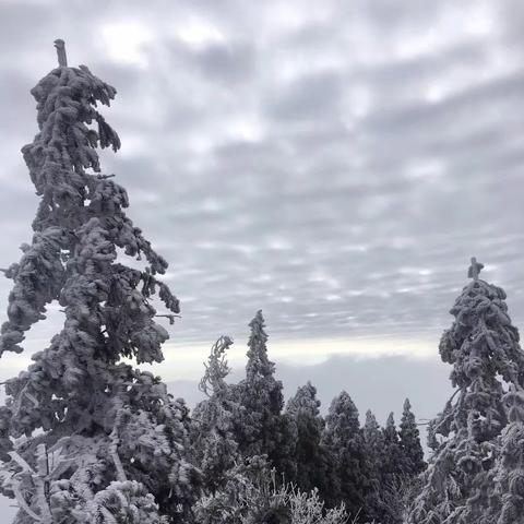 三明景点(三明景点图片) 三明景点(三明景点图片)