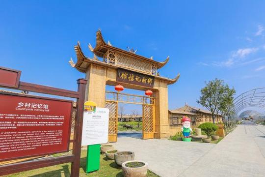 米果果小镇陈照米：一个现代农业践行者的“乡愁”