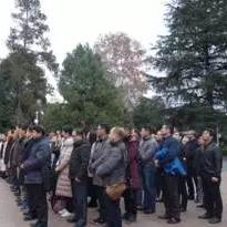 南宁市律师事务所哪个比较有实力