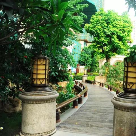 济南龙奥南凤凰湖为什么不叫了？