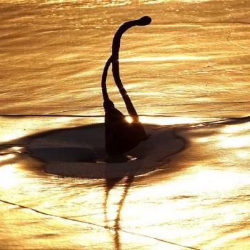 哈尔滨城市黄昏图片大全相关长尾关键词有哪些