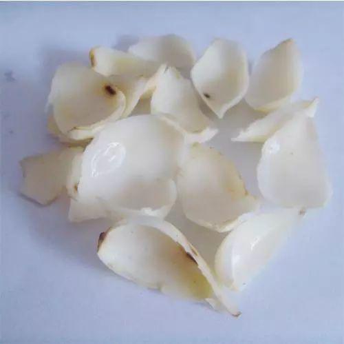 秋季小儿扁桃体炎高发 秋季小儿扁桃体炎高发