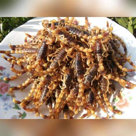 潍坊市到平邑县怎么走