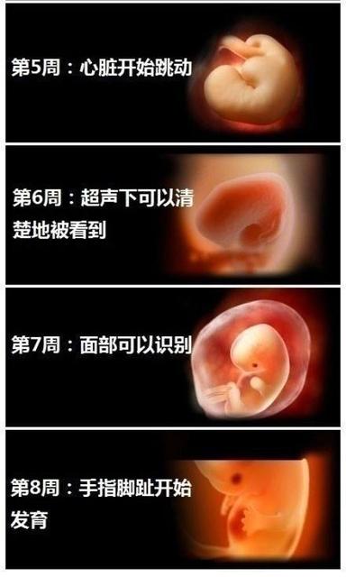 卵子受精后有什么症状