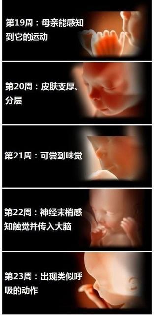 孕妇身体有这3种反应说明胎儿在发育