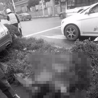 长沙市丁字镇属于哪个区