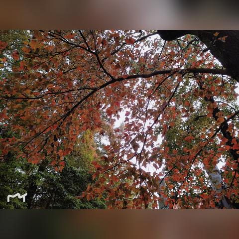 保定市龙潭水库在哪里建