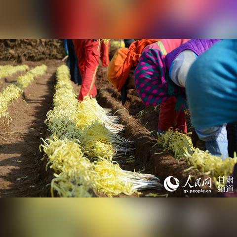 兰州什么店黄金最便宜？