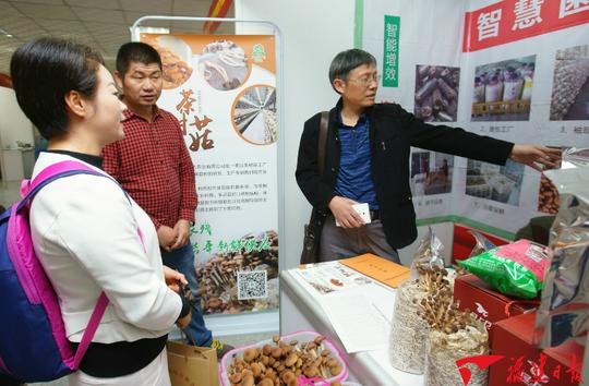 厦门举行冬季创业项目推介会