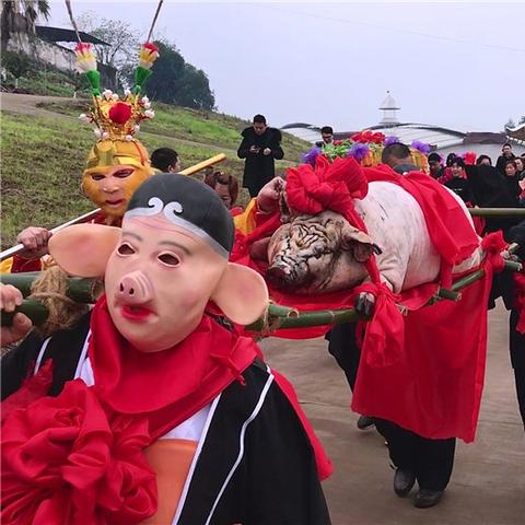 生肖猪生在各个时辰运势(生肖猪出生时辰及运势)