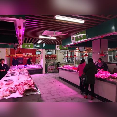 重庆北站到重庆大学城怎么走？