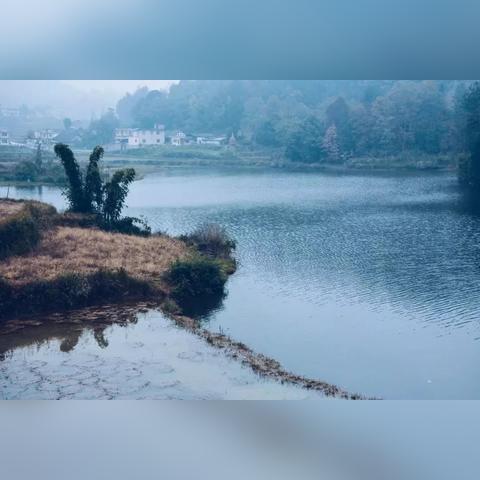 深圳市马蹄山在哪个区