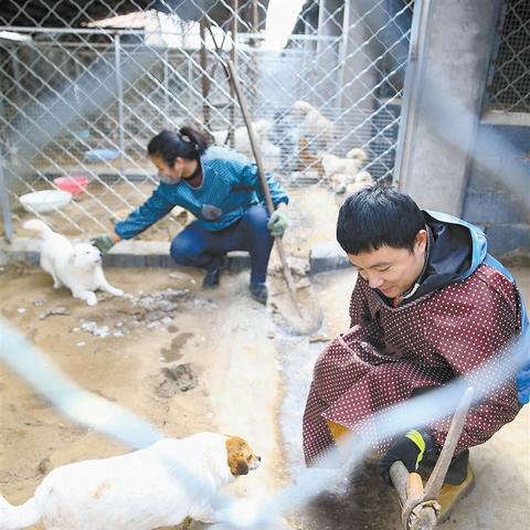 临沂市哪里有卖小型宠物的市场