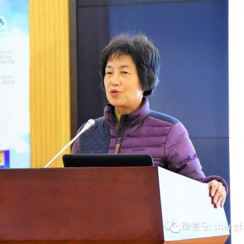 马桥镇属于哪个区？