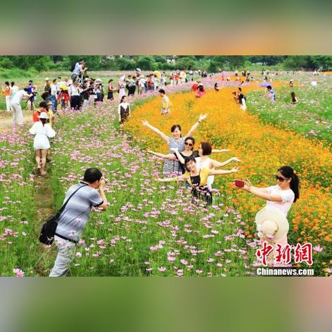 桂林地拍地价相关长尾关键词有哪些