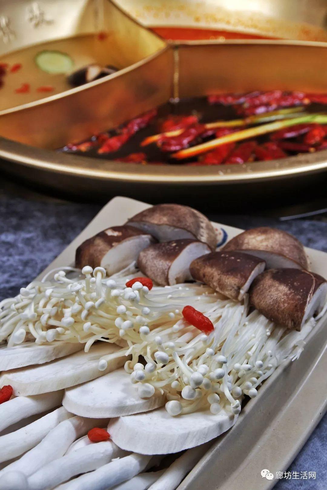 什么美食必出精品（有哪些值得推荐的美食纪录片）