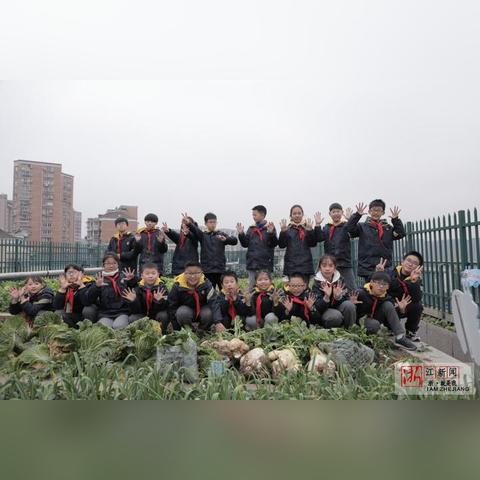 杭州市农科院负责什么的