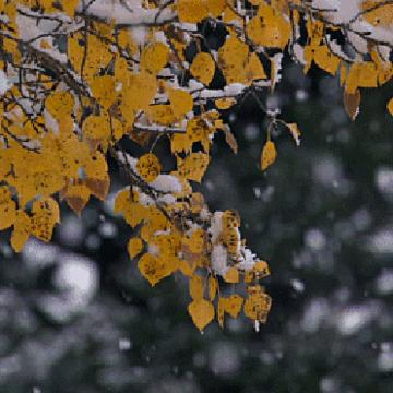 从湘潭到长沙的汽车相关长尾关键词有哪些