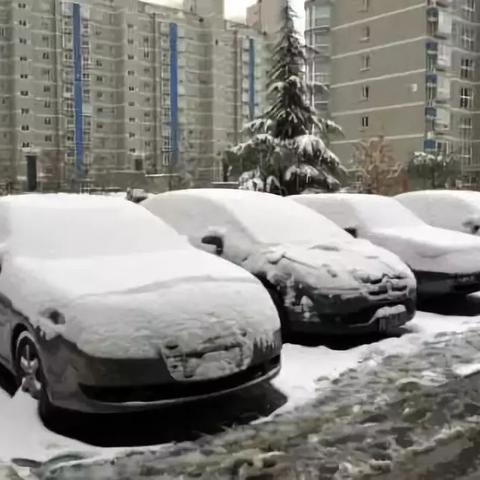 合肥市迎雪路在哪个区